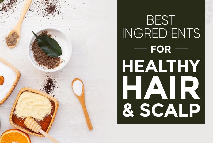 BEST INGREDIENTS FOR HEALTHY HAIR & SCALP
